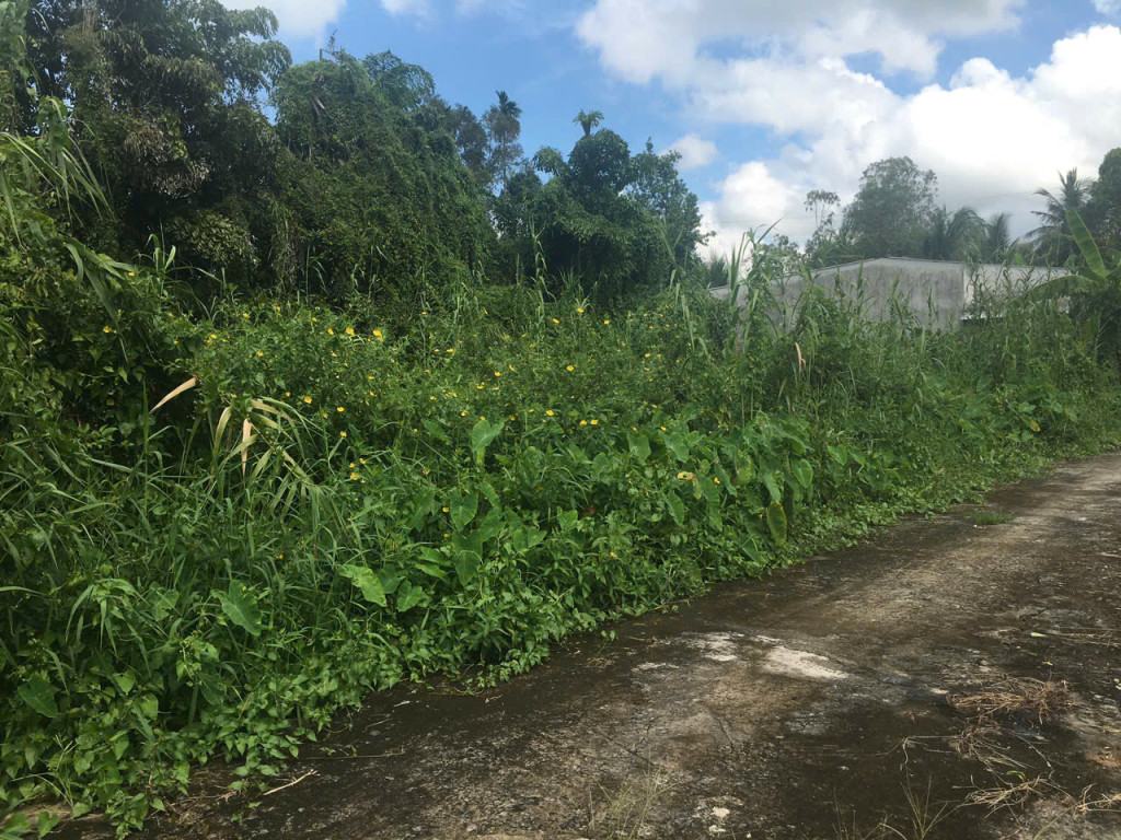 Nền hẻm đường Đinh Công Chánh, gần Chợ Phó Thọ, Long Tuyền, Cần Thơ