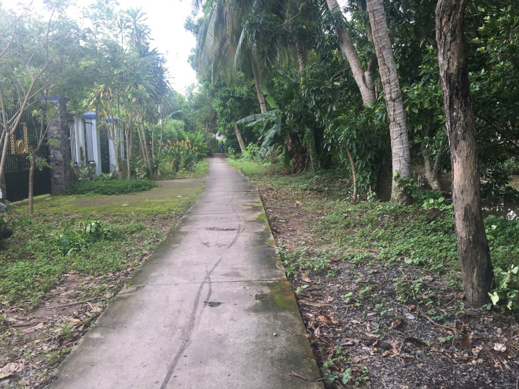 Nền hẻm đường Đinh Công Chánh, gần Chợ Phó Thọ, Long Tuyền, Cần Thơ