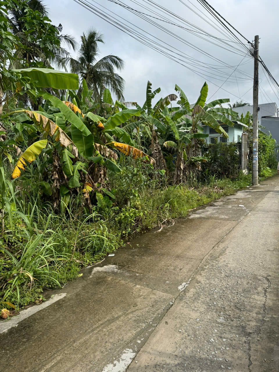 Nền thổ cư gần Chợ Mỹ Khánh, Phong Điền, Cần Thơ